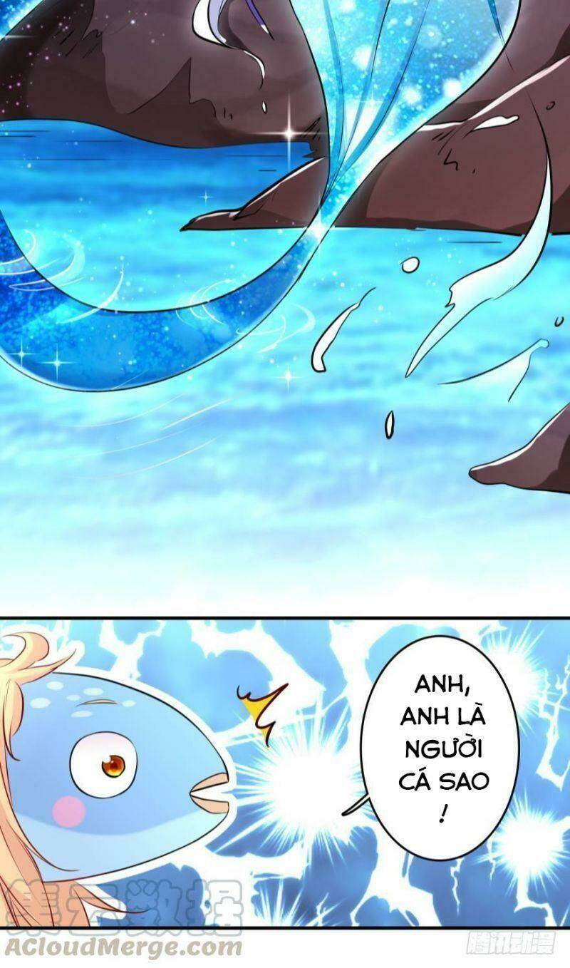 Nhân Ngư Học Trưởng, Đừng Ôm Ta!: Chapter 20