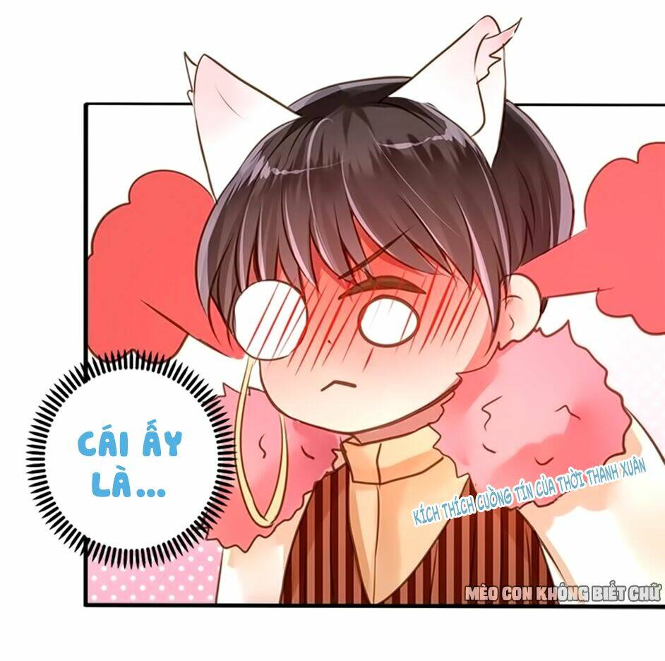 Không Có Ssr Làm Sao Để Yêu: Chapter 15