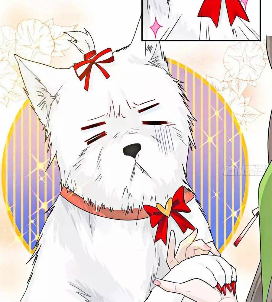 Hai Cách Tìm Gặp Người Yêu: Chapter 35