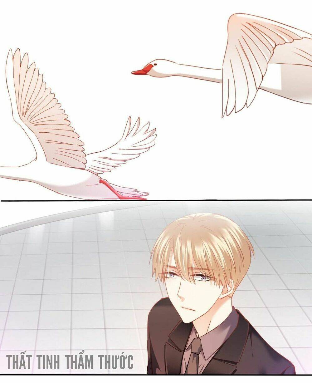 Bay Qua Thiên Sơn Đến Yêu Anh: Chapter 55