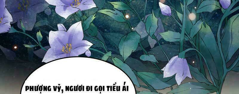 Liêu Cung Phong Hoa: Chapter 8