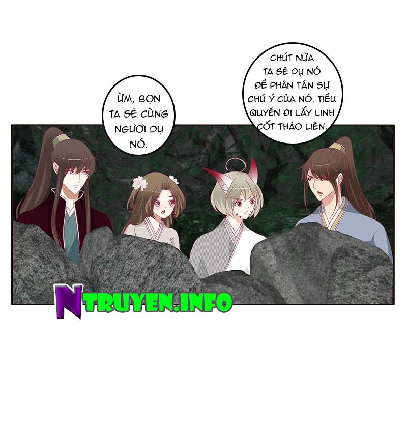 Thông Linh Phi: Chapter 368