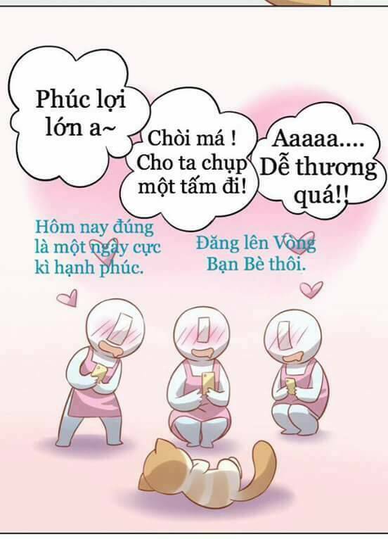 Dưới Móng Vuốt Mèo: Chapter 8