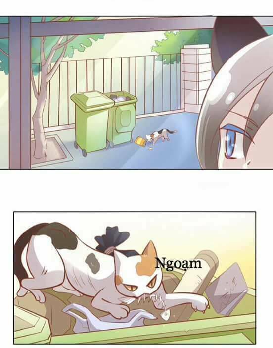 Dưới Móng Vuốt Mèo: Chapter 8