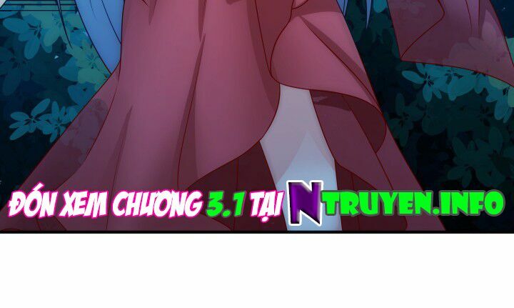 Đô đốc đại nhân sủng thê kí: Chapter 2.5