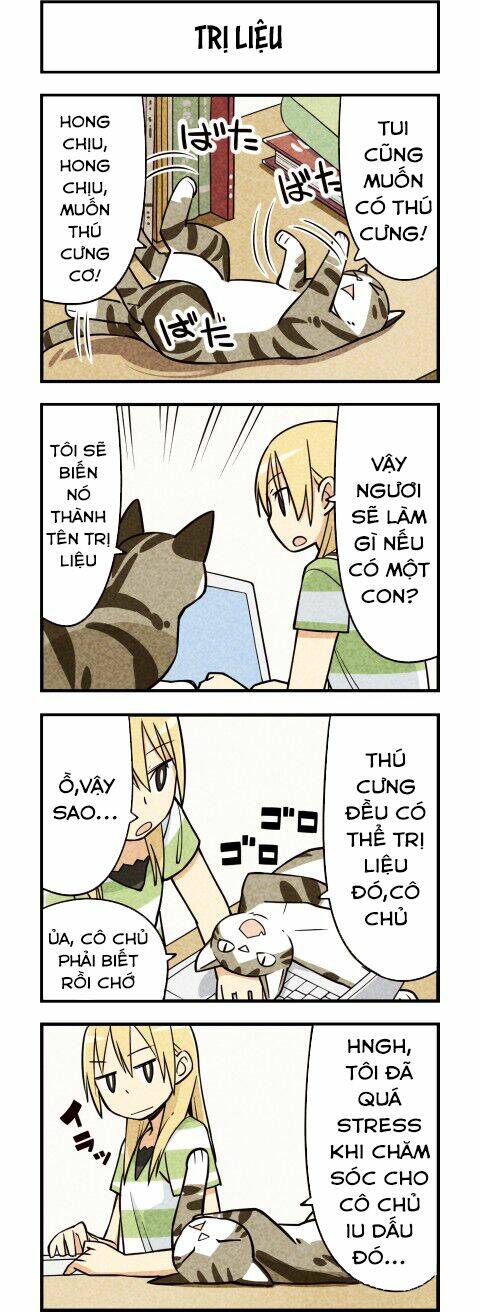 We Are Cat: Chapter 11