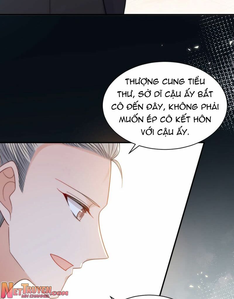 Ma Lạt Thiên Kim Đẩu Ác Thiếu: Chapter 205