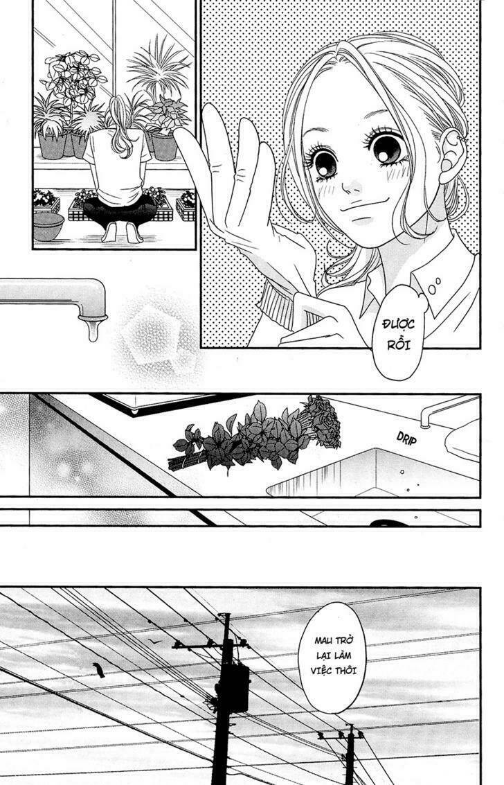 Đóa Hoa Năm Ấy: Chapter 1