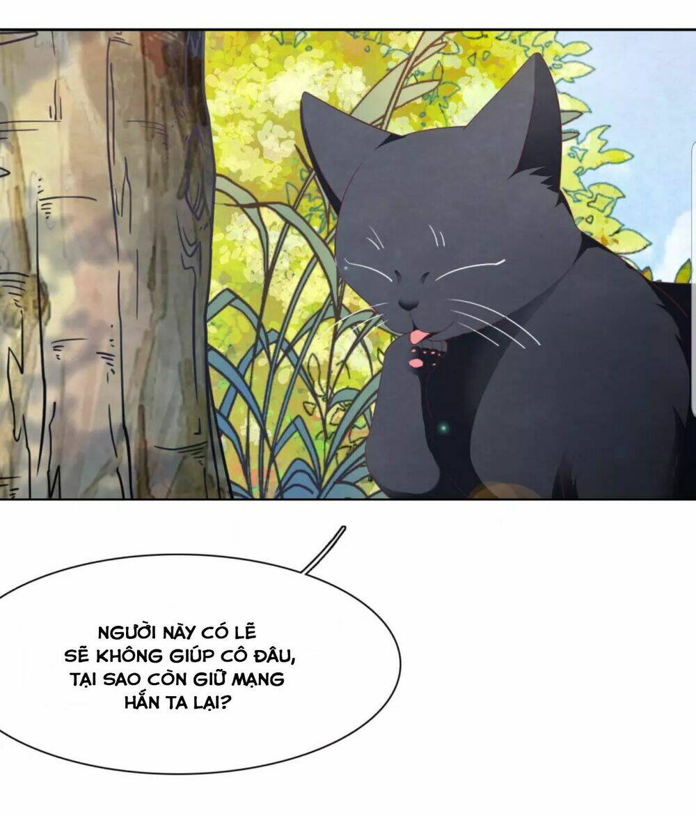 Xuyên Về Cổ Đại Làm Quốc Bảo: Chapter 43