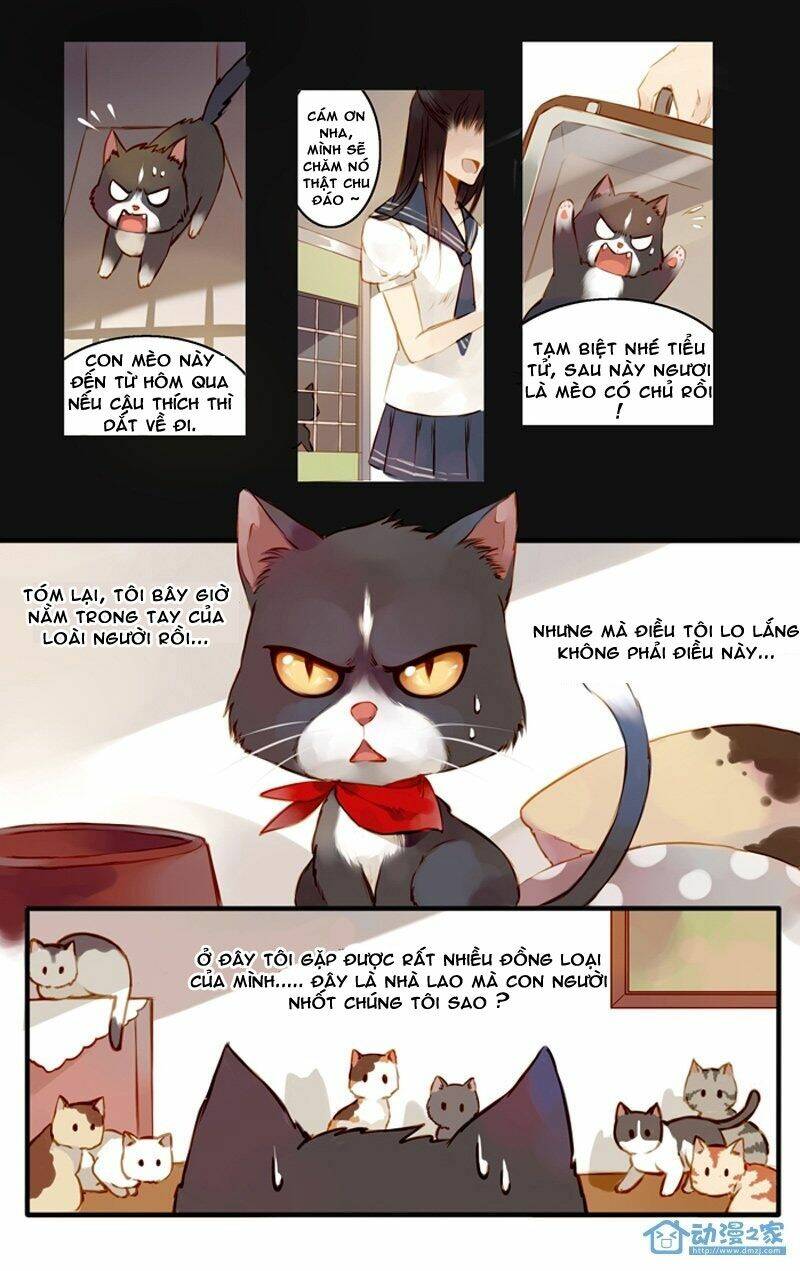 Hằng Mộng Nam Thần: Chapter 22