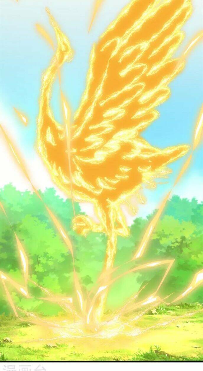 Chí Tôn Trọng Sinh: Chapter 192