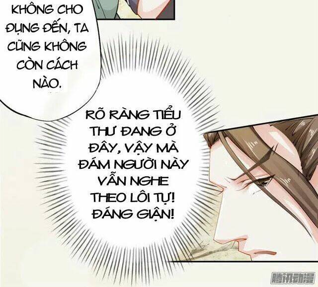 Tuyệt Thế Luyện Đan Sư: Chapter 15
