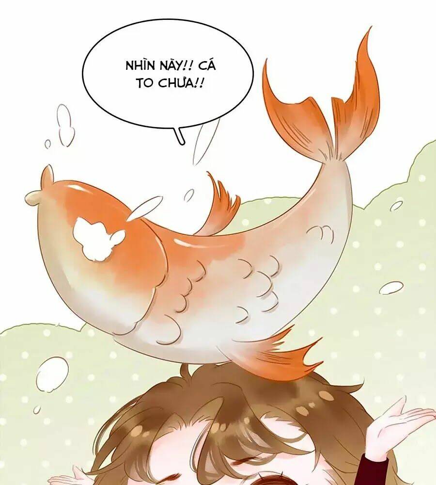 Tiểu Sư Phụ, Tóc Giả Của Ngài Rơi Rồi!: Chapter 22