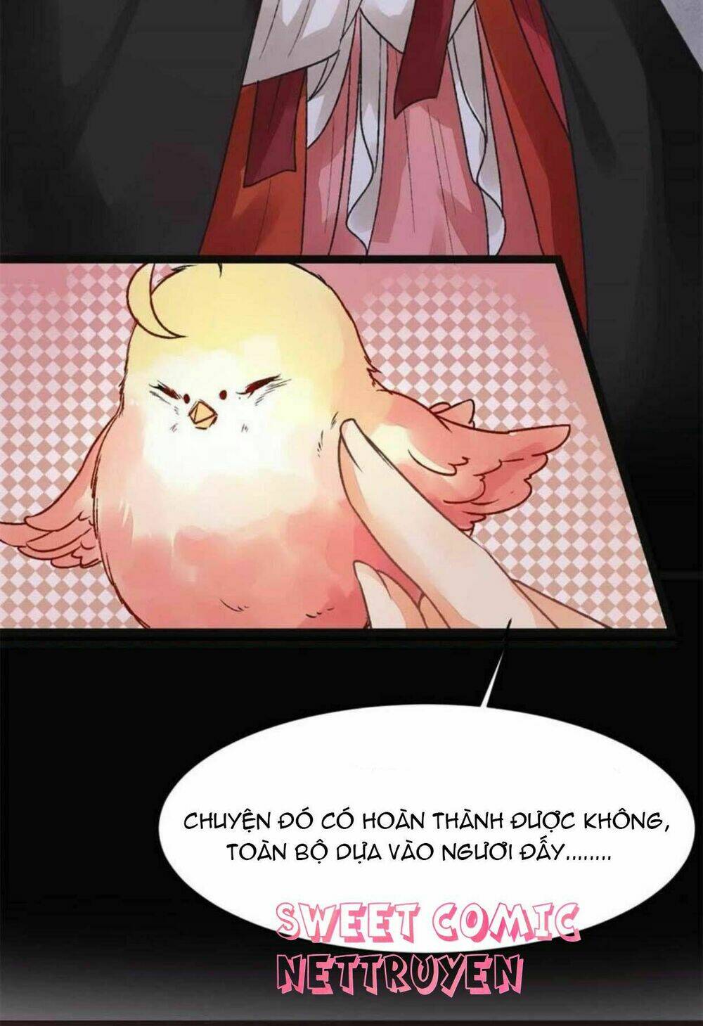 Thịnh Sủng Kiều Nữ Trở Về Triều Ca: Chapter 5