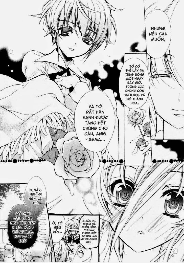 Nụ Hôn Của Công Chúa Tường Vi: Chapter 4