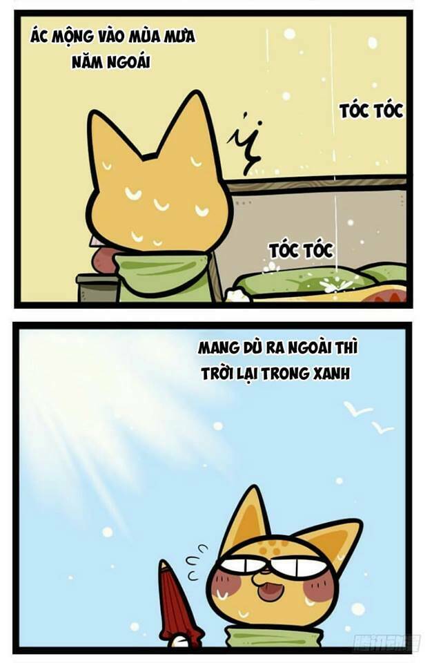 Đời Không Như Mình Tưởng: Chapter 37