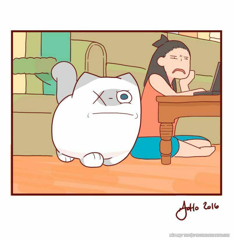 Saphie: Chú mèo một mắt: Chapter 9