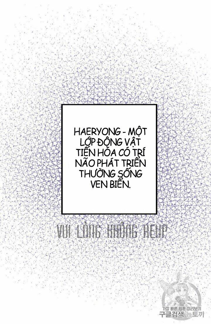 Hôn Lễ Báo Thù: Chapter 13