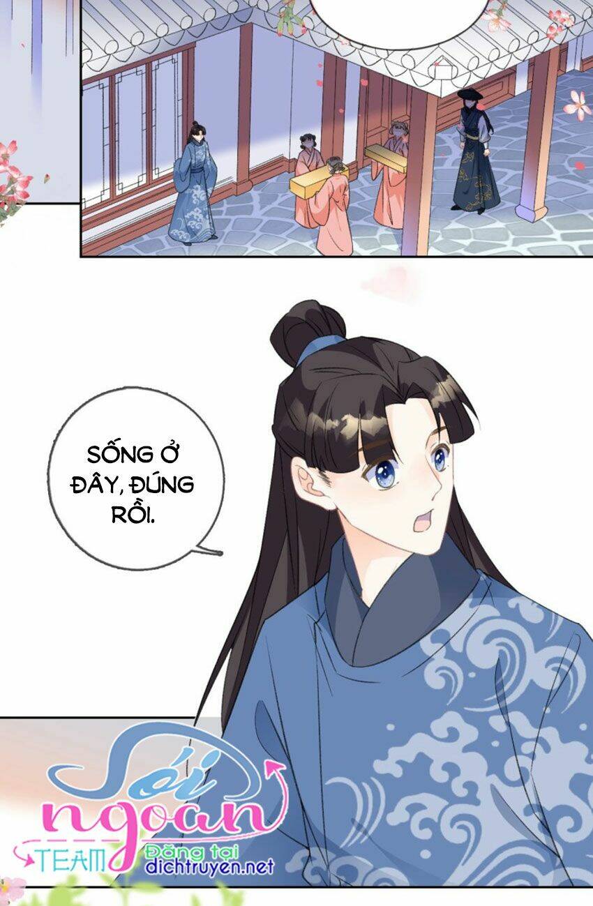 Tang Lạc Túy Tại Nam Phong Lý: Chapter 68