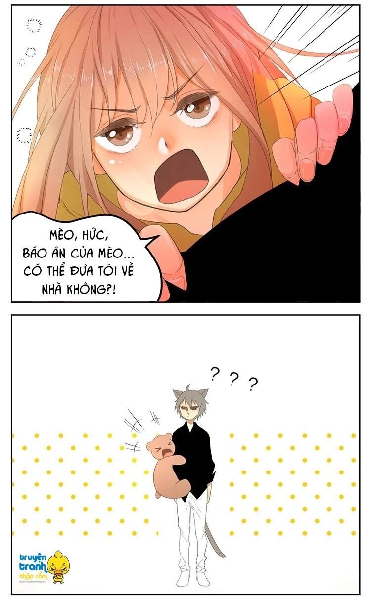 Cứu mạng ! Loài mèo thống trị thế giới rồi !: Chapter 23