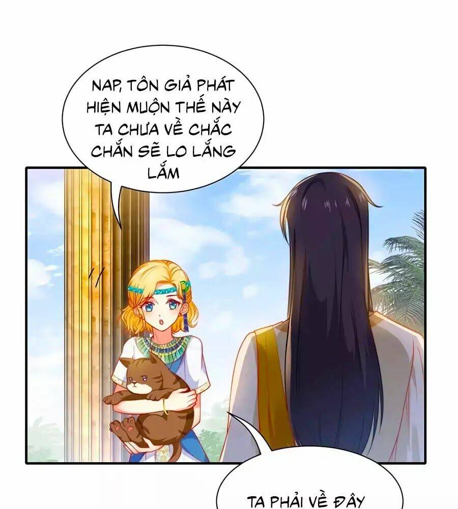Sủng Hậu Của Vương: Chapter 6