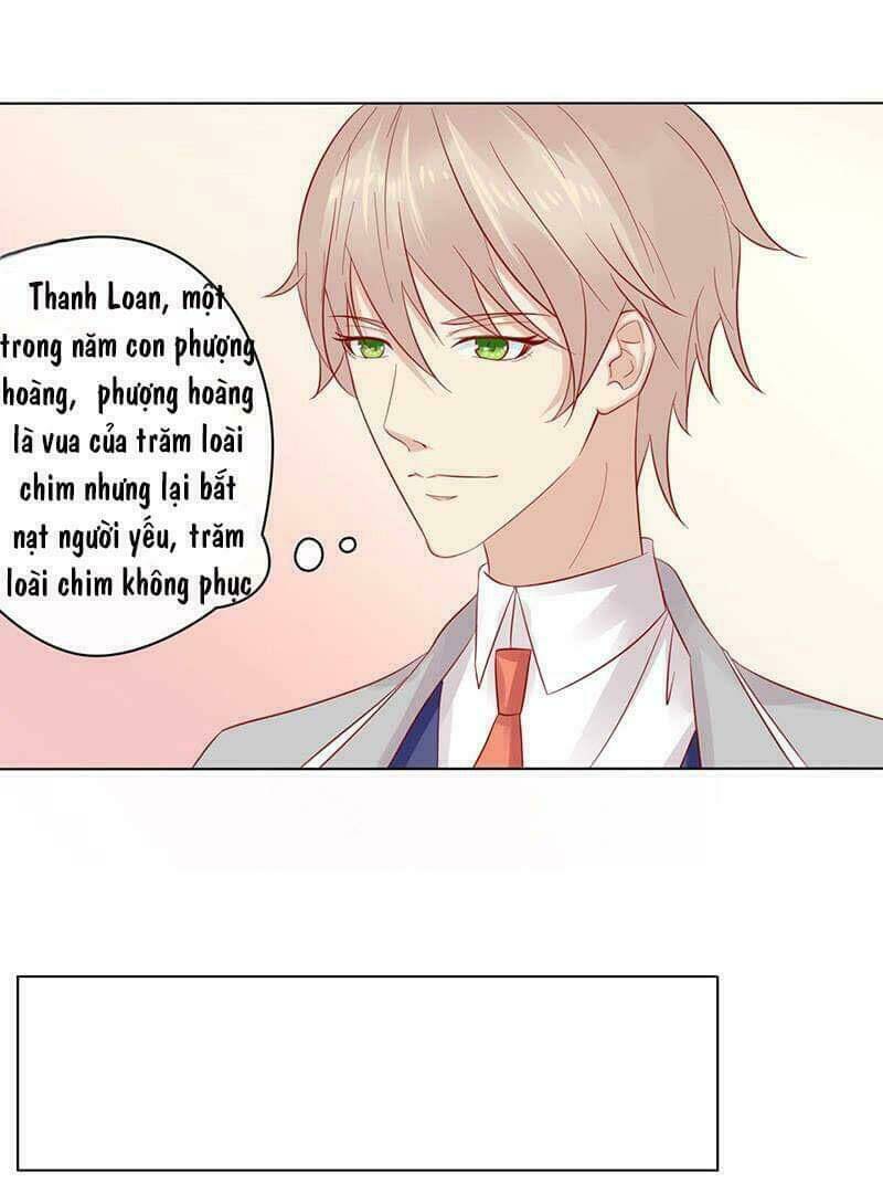 Băng Sơn Học Trưởng Không Được Chọc: Chapter 57.1