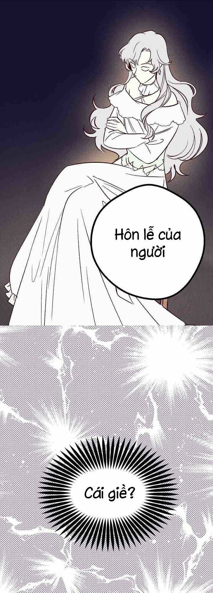 Hôn Lễ Báo Thù: Chapter 1