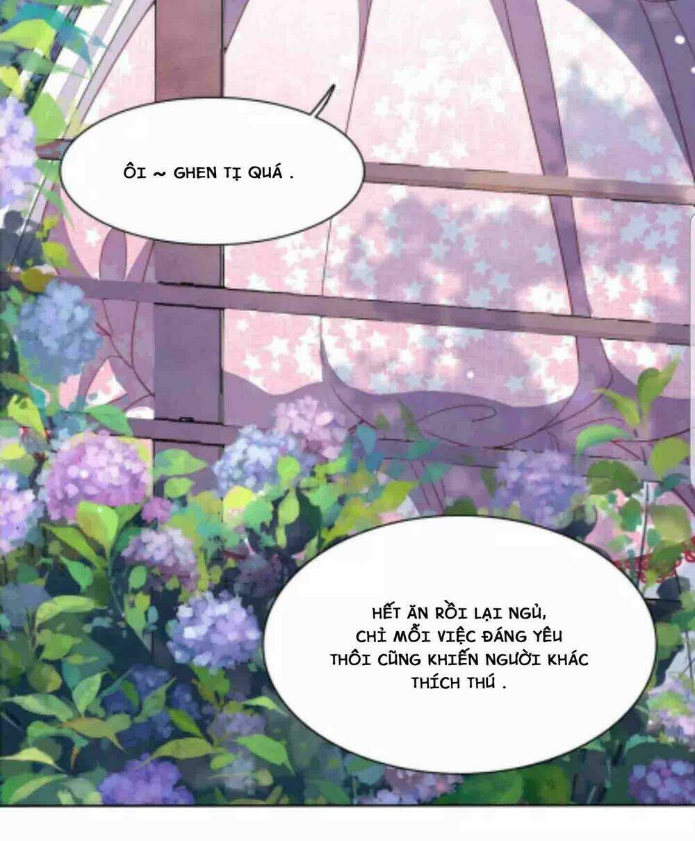 Xuyên Về Cổ Đại Làm Quốc Bảo: Chapter 1