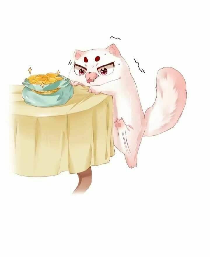 Con Đường Hoang Dã Của Vương Phi: Chapter 29