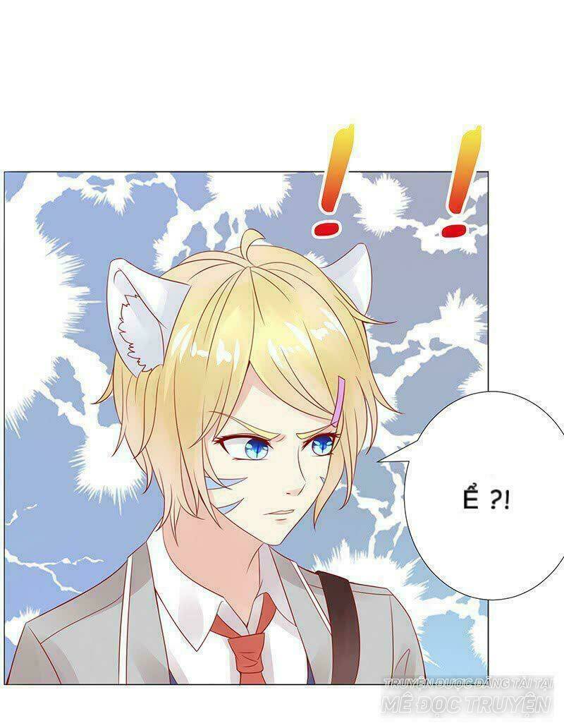 Băng Sơn Học Trưởng Không Được Chọc: Chapter 15