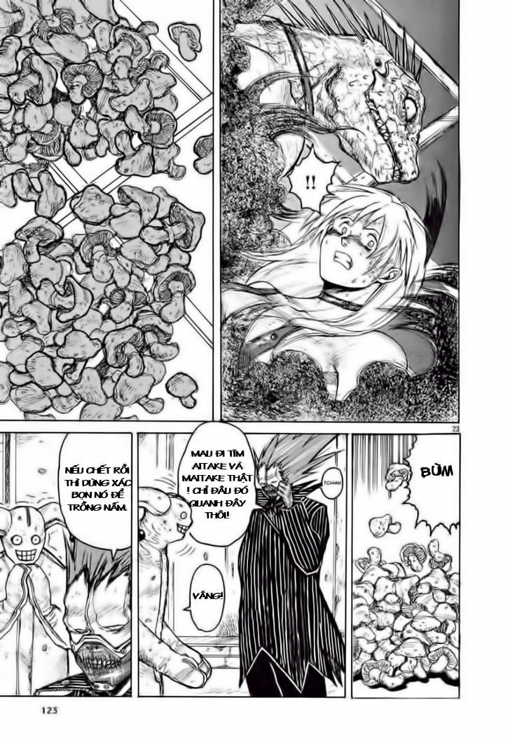 Kẻ Mất Trí Và Thế Giới Ma Thuật: Chapter 5