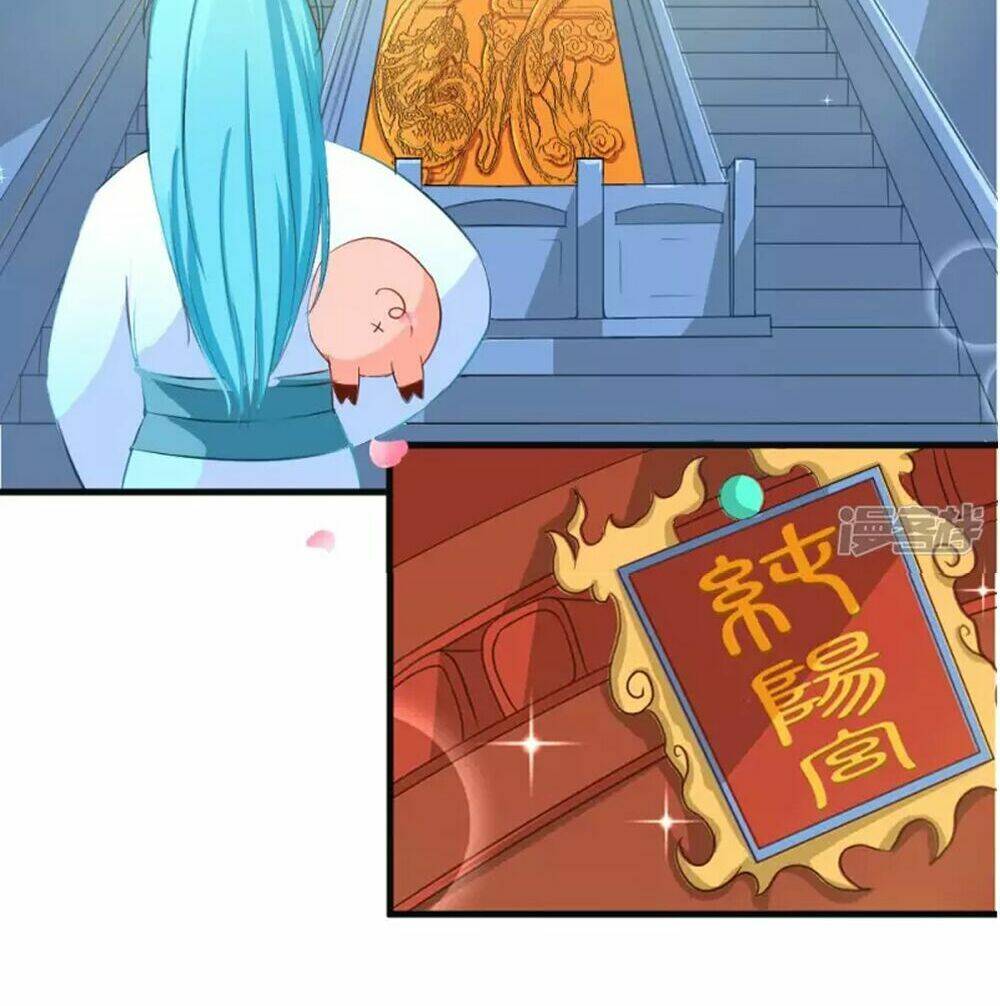 Đệ Tử Của Ta Là Heo: Chapter 3