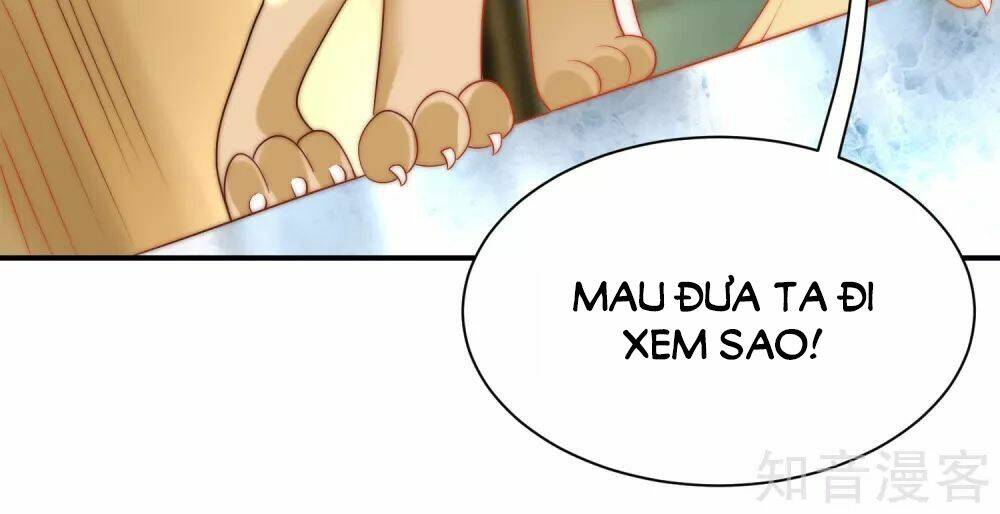 Sủng Hậu Của Vương: Chapter 70