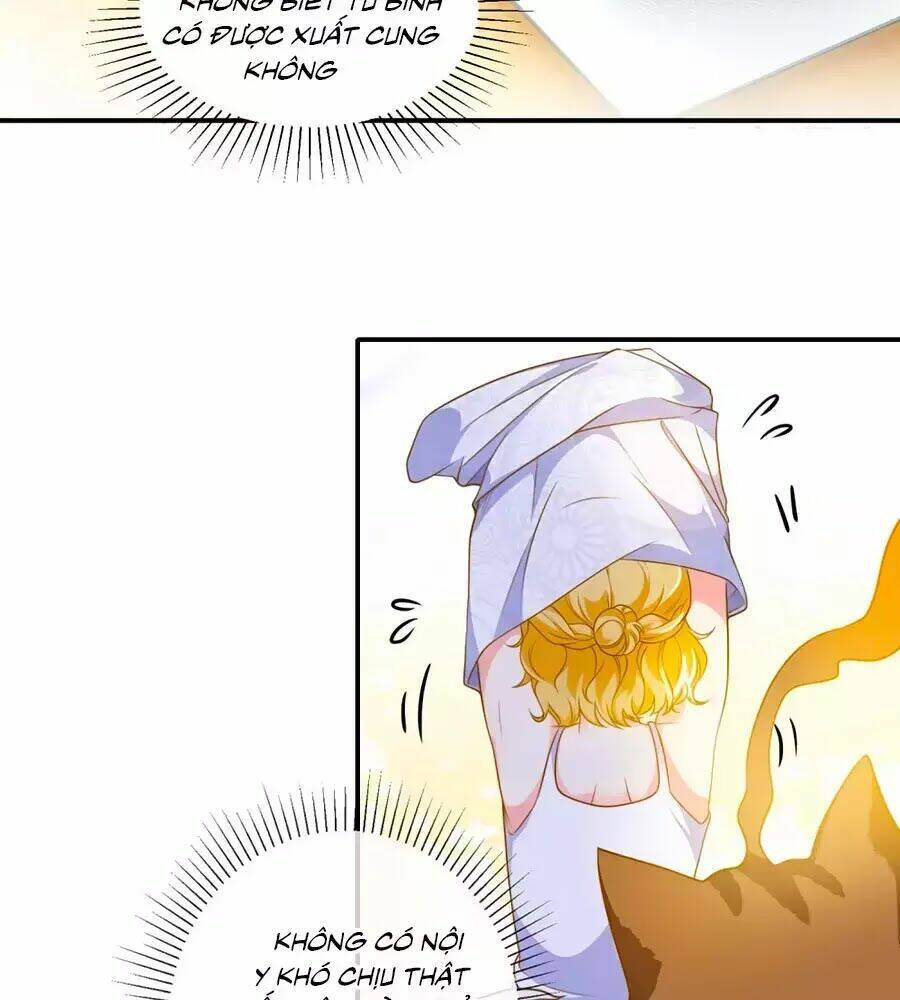 Sủng Hậu Của Vương: Chapter 6