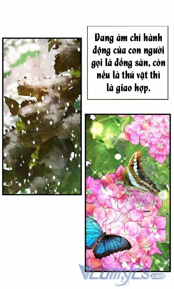 Cô Dâu Của Sói Đen: Chapter 23