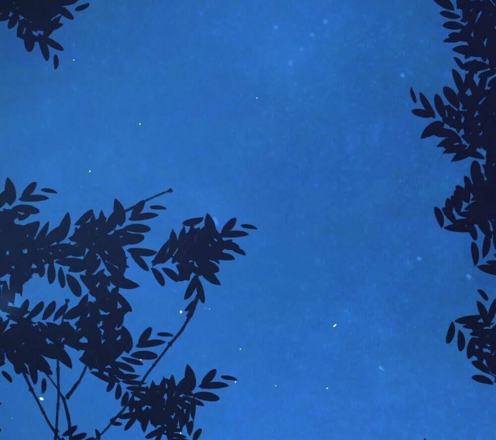 Quyến Rũ Không Thành: Chapter 5