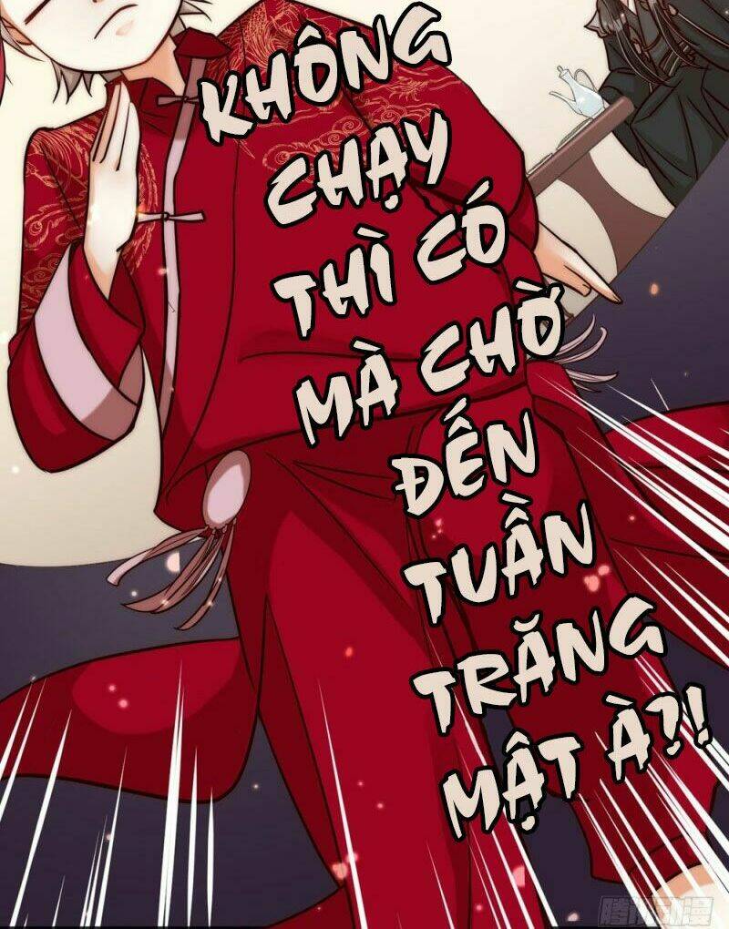 Phu Phu Khuynh Thành: Chapter 0