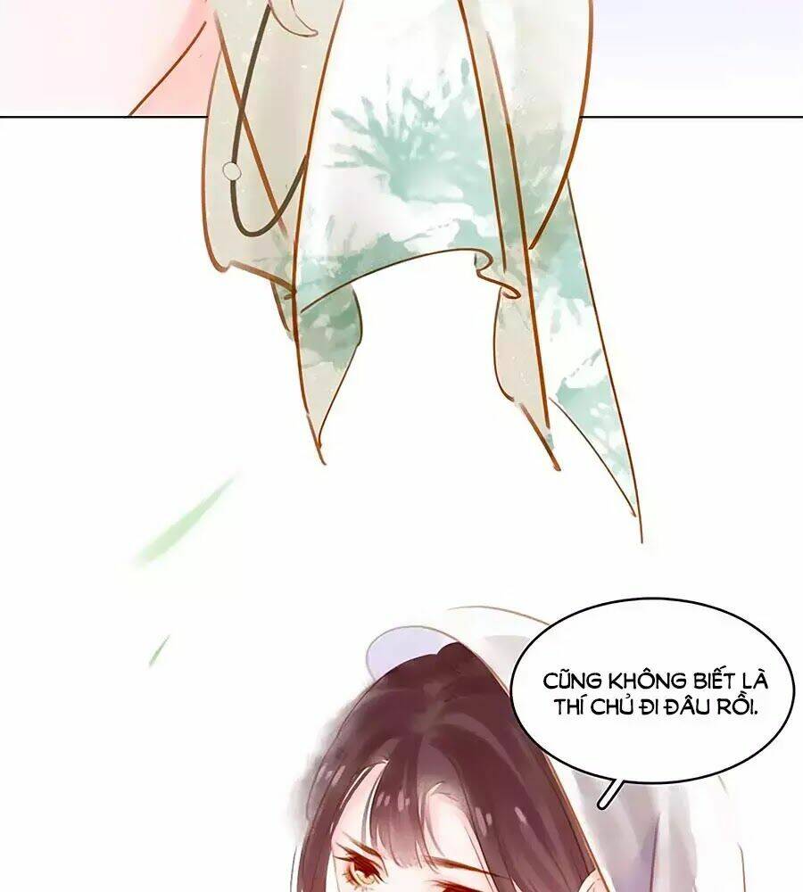 Tiểu Sư Phụ, Tóc Giả Của Ngài Rơi Rồi!: Chapter 8