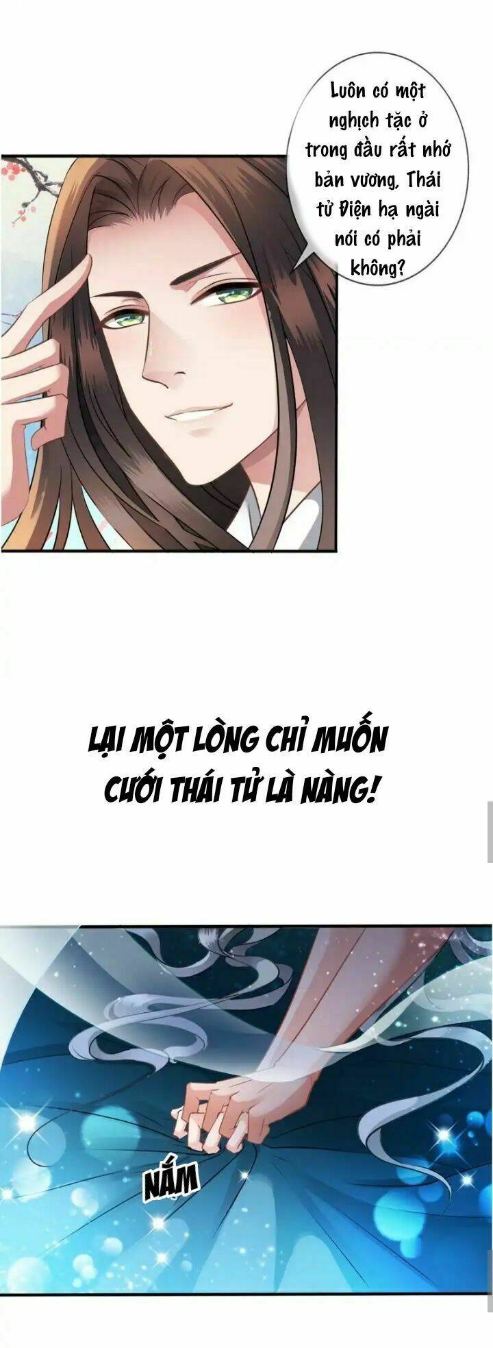 Thái Tử Điện Hạ Có Tin Vui: Chapter 0