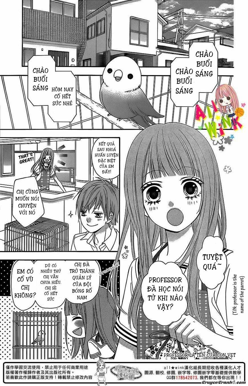 Tsubasa To Hotaru: Chapter 3