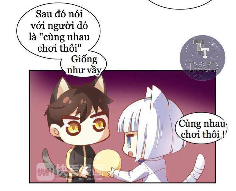 Dưới Móng Vuốt Mèo: Chapter 4