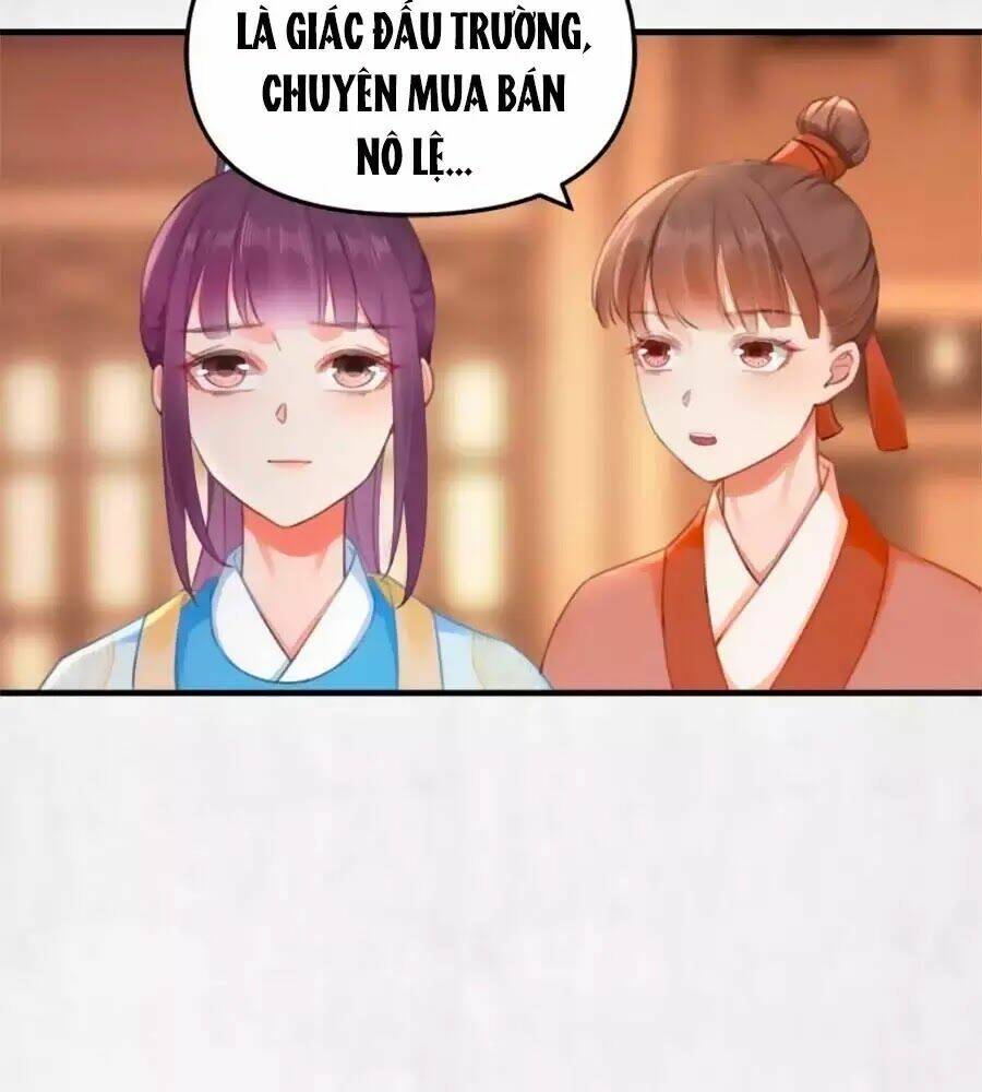 Hoạn Phi Hoàn Triều: Chapter 37