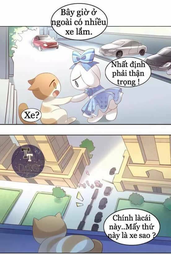 Dưới Móng Vuốt Mèo: Chapter 7
