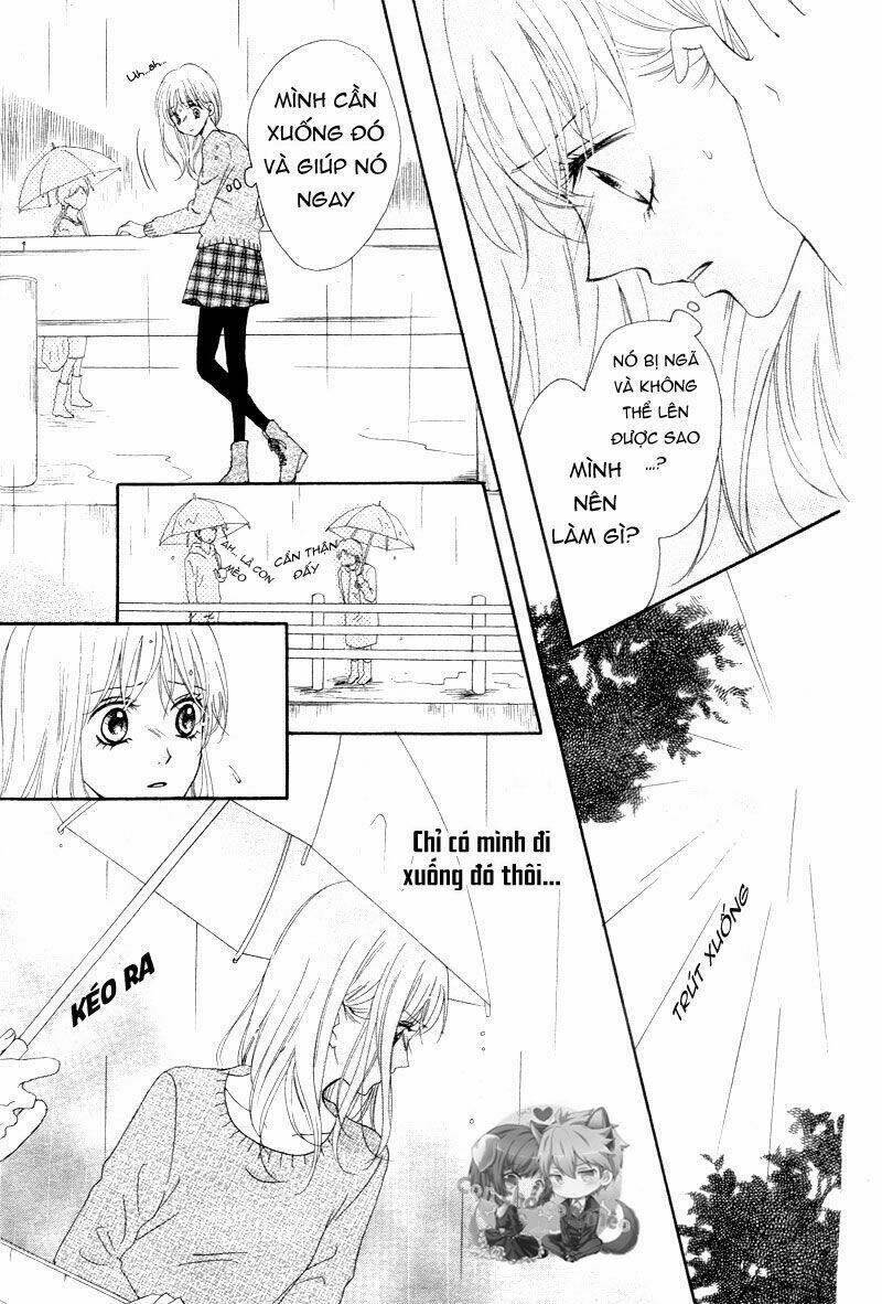 Koi Ni Naranai Wake Ga Nai: Chapter 1