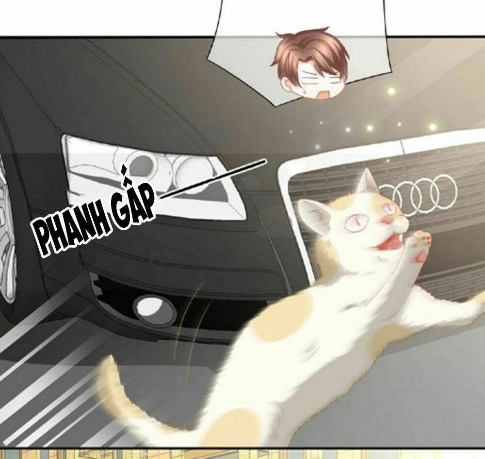 Tiệm May Luyến Sắc: Chapter 23