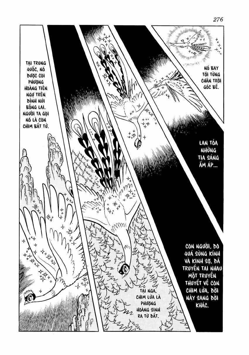 Chim Lửa: Chapter 30