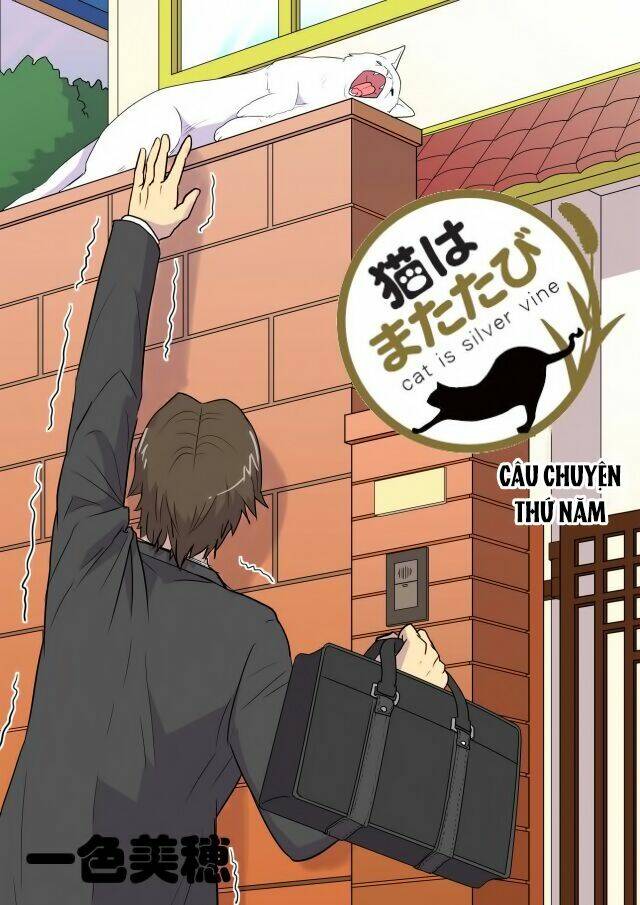 Cat is silver vine: Chapter 5