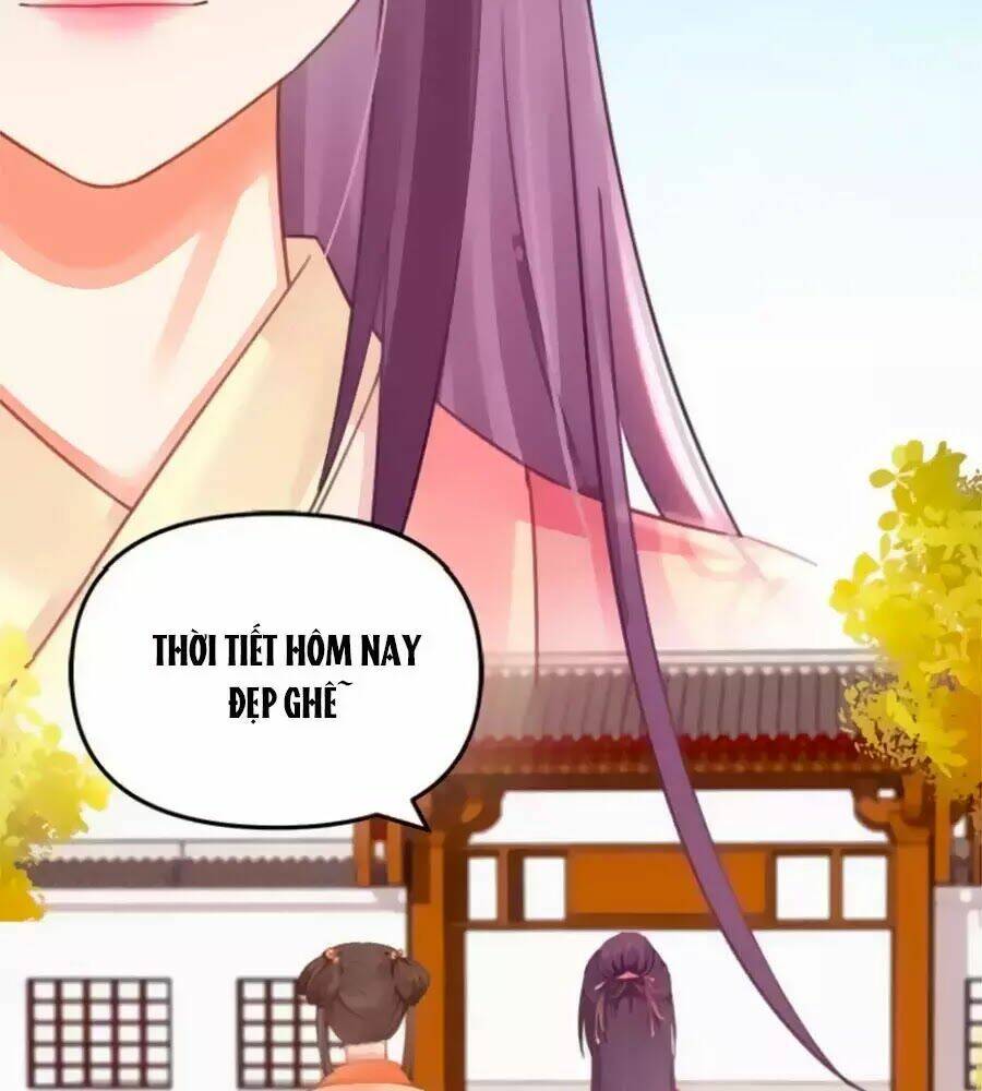 Hoạn Phi Hoàn Triều: Chapter 36