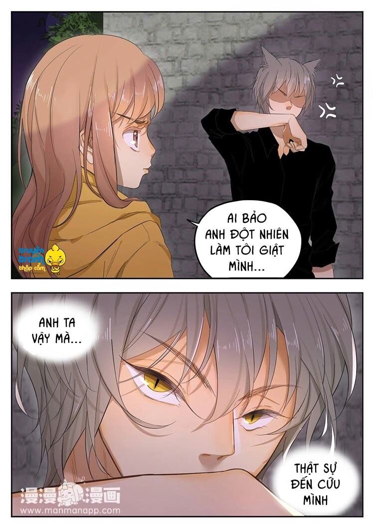 Cứu mạng ! Loài mèo thống trị thế giới rồi !: Chapter 21