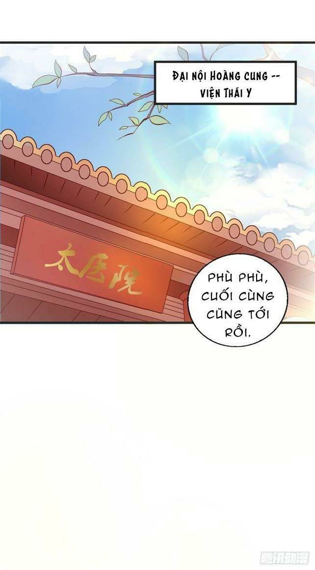 Đế Hoàng Chi Thần Y Khí Phi: Chapter 39